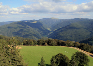 Blick vom Schauinsland